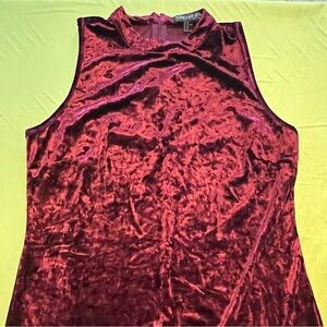 Forever 21 Plus | Cranberry Red Velvet Mini Dress
